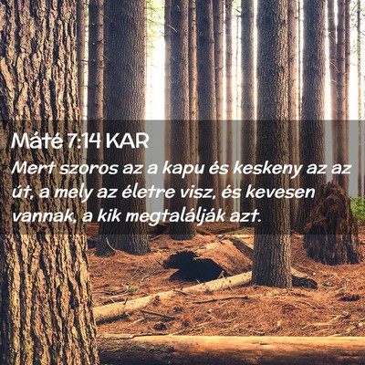 Picture 02 - Máté 7:14 KAR - Mert szoros az a kapu és keskeny az az út, a - Bible Verse Picture