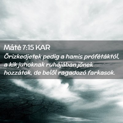 Picture 02 - Máté 7:15 KAR - Õrizkedjetek pedig a hamis prófétáktól, a - Bible Verse Picture