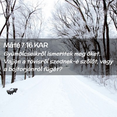 Picture 02 - Máté 7:16 KAR - Gyümölcseikrõl ismeritek meg õket. Vajjon a - Bible Verse Picture