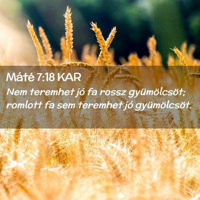 Picture 02 - Máté 7:18 KAR - Nem teremhet jó fa rossz gyümölcsöt; romlott - Bible Verse Picture