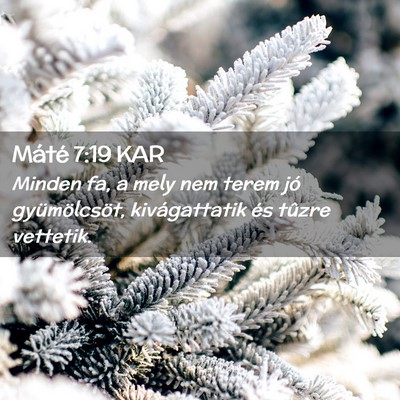 Picture 02 - Máté 7:19 KAR - Minden fa, a mely nem terem jó gyümölcsöt, - Bible Verse Picture