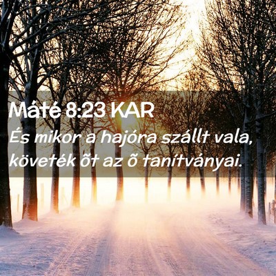 Picture 02 - Máté 8:23 KAR - És mikor a hajóra szállt vala, követék õt - Bible Verse Picture