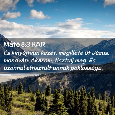 Picture 02 - Máté 8:3 KAR - És kinyújtván kezét, megilleté õt Jézus, - Bible Verse Picture