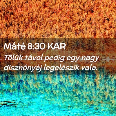 Picture 02 - Máté 8:30 KAR - Tõlük távol pedig egy nagy disznónyáj - Bible Verse Picture