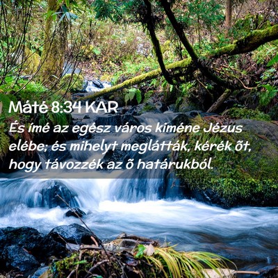 Picture 02 - Máté 8:34 KAR - És ímé az egész város kiméne Jézus elébe; - Bible Verse Picture