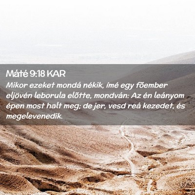 Picture 02 - Máté 9:18 KAR - Mikor ezeket mondá nékik, ímé egy fõember - Bible Verse Picture