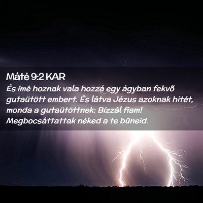 Picture 02 - Máté 9:2 KAR - És ímé hoznak vala hozzá egy ágyban fekvõ - Bible Verse Picture