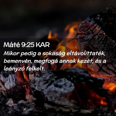 Picture 02 - Máté 9:25 KAR - Mikor pedig a sokaság eltávolíttaték, - Bible Verse Picture