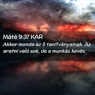 Picture 02 - Máté 9:37 KAR - Akkor monda az õ tanítványainak: Az aratni - Bible Verse Picture