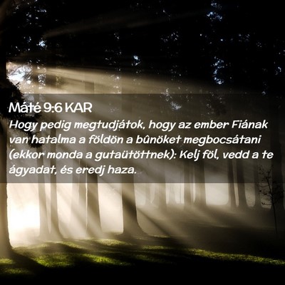 Picture 02 - Máté 9:6 KAR - Hogy pedig megtudjátok, hogy az ember Fiának - Bible Verse Picture