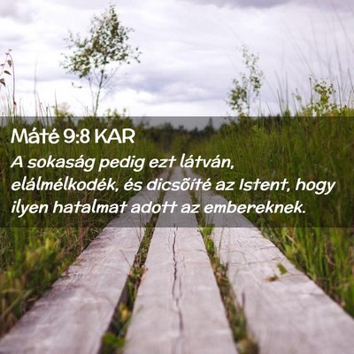 Picture 02 - Máté 9:8 KAR - A sokaság pedig ezt látván, elálmélkodék, - Bible Verse Picture