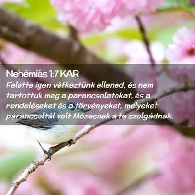 Picture 02 - Nehémiás 1:7 KAR - Felette igen vétkeztünk ellened, és nem - Bible Verse Picture