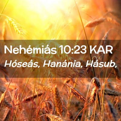 Picture 02 - Nehémiás 10:23 KAR - Hóseás, Hanánia, - Bible Verse Picture