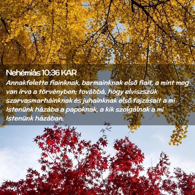 Picture 02 - Nehémiás 10:36 KAR - Annakfelette fiainknak, barmainknak elsõ fiait, - Bible Verse Picture