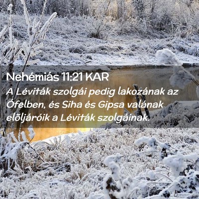 Picture 02 - Nehémiás 11:21 KAR - A Léviták szolgái pedig lakozának az - Bible Verse Picture