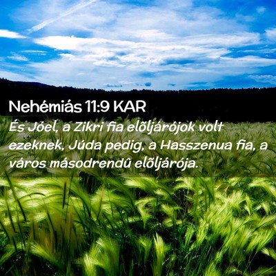 Picture 02 - Nehémiás 11:9 KAR - És Jóel, a Zikri fia elõljárójok volt - Bible Verse Picture