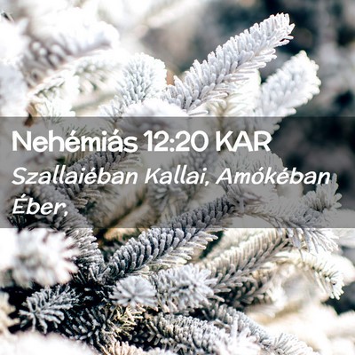 Picture 02 - Nehémiás 12:20 KAR - Szallaiéban Kallai, Amókéban - Bible Verse Picture