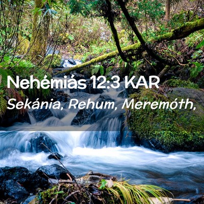 Picture 02 - Nehémiás 12:3 KAR - Sekánia, Rehum, - Bible Verse Picture