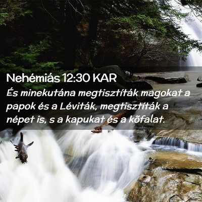 Picture 02 - Nehémiás 12:30 KAR - És minekutána megtisztíták magokat a papok - Bible Verse Picture