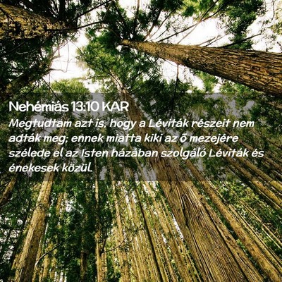 Picture 02 - Nehémiás 13:10 KAR - Megtudtam azt is, hogy a Léviták részeit nem - Bible Verse Picture