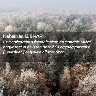 Picture 02 - Nehémiás 13:11 KAR - És megfeddém a fejedelmeket, és mondék: - Bible Verse Picture
