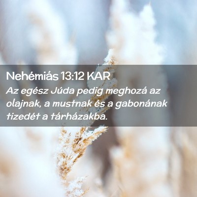 Picture 02 - Nehémiás 13:12 KAR - Az egész Júda pedig meghozá az olajnak, a - Bible Verse Picture