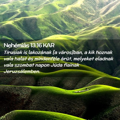 Picture 02 - Nehémiás 13:16 KAR - Tírusiak is lakozának [a város]ban, a kik - Bible Verse Picture