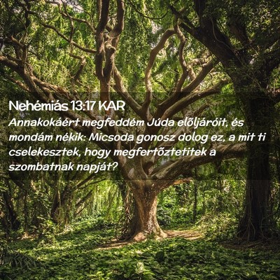 Picture 02 - Nehémiás 13:17 KAR - Annakokáért megfeddém Júda elõljáróit, és - Bible Verse Picture