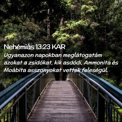Picture 02 - Nehémiás 13:23 KAR - Ugyanazon napokban meglátogatám azokat a - Bible Verse Picture