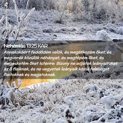 Picture 02 - Nehémiás 13:25 KAR - Annakokáért feddõdém velök, és megátkozám - Bible Verse Picture