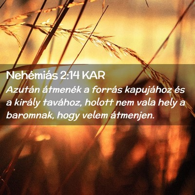 Picture 02 - Nehémiás 2:14 KAR - Azután átmenék a forrás kapujához és a - Bible Verse Picture