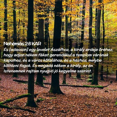 Picture 02 - Nehémiás 2:8 KAR - És [adasson] egy levelet Ászáfhoz, a király - Bible Verse Picture