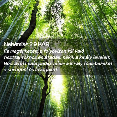 Picture 02 - Nehémiás 2:9 KAR - És megérkezém a folyóvizen túl való - Bible Verse Picture