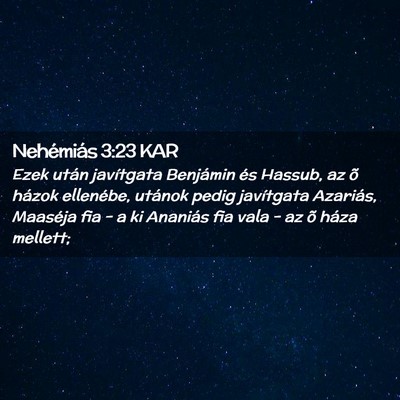 Picture 02 - Nehémiás 3:23 KAR - Ezek után javítgata Benjámin és Hassub, az õ - Bible Verse Picture