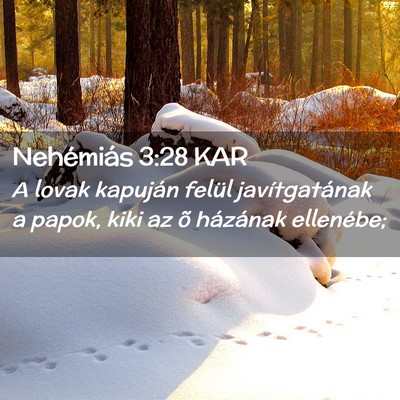 Picture 02 - Nehémiás 3:28 KAR - A lovak kapuján felül javítgatának a papok, - Bible Verse Picture