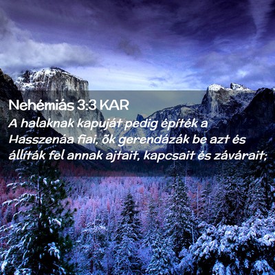 Picture 02 - Nehémiás 3:3 KAR - A halaknak kapuját pedig építék a Hasszenáa - Bible Verse Picture