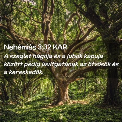 Picture 02 - Nehémiás 3:32 KAR - A szeglet hágója és a juhok kapuja között - Bible Verse Picture