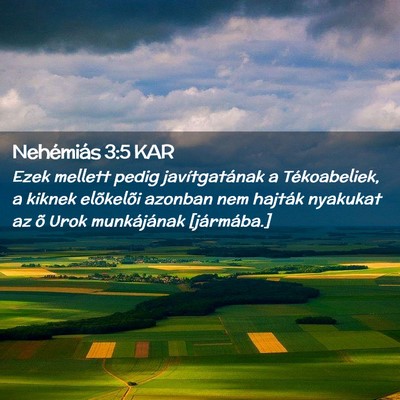 Picture 02 - Nehémiás 3:5 KAR - Ezek mellett pedig javítgatának a Tékoabeliek, - Bible Verse Picture