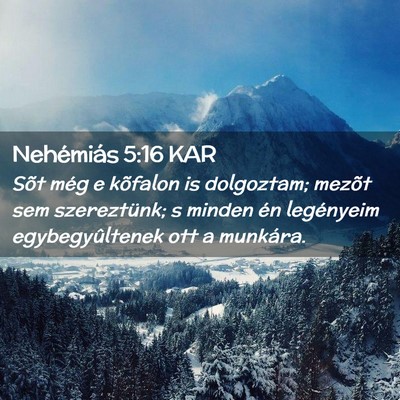 Picture 02 - Nehémiás 5:16 KAR - Sõt még e kõfalon is dolgoztam; mezõt sem - Bible Verse Picture