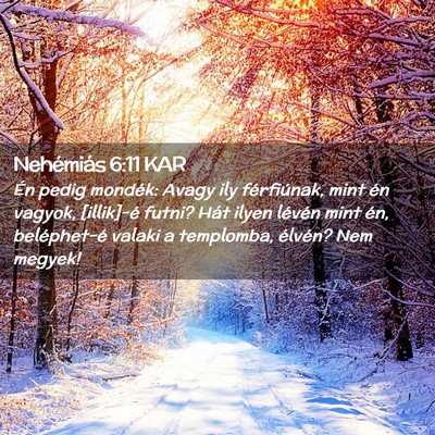 Picture 02 - Nehémiás 6:11 KAR - Én pedig mondék: Avagy ily férfiúnak, mint - Bible Verse Picture