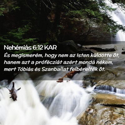 Picture 02 - Nehémiás 6:12 KAR - És megismerém, hogy nem az Isten küldötte - Bible Verse Picture