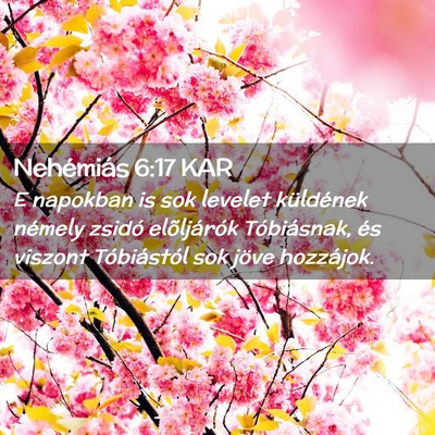 Picture 02 - Nehémiás 6:17 KAR - E napokban is sok levelet küldének némely - Bible Verse Picture