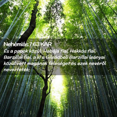 Picture 02 - Nehémiás 7:63 KAR - És a papok közül: Habája fiai, Hakkós fiai, - Bible Verse Picture