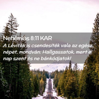 Picture 02 - Nehémiás 8:11 KAR - A Léviták is csendesíték vala az egész - Bible Verse Picture