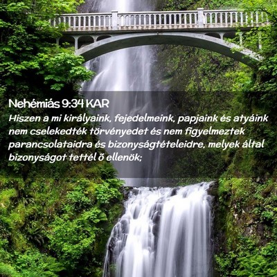 Picture 02 - Nehémiás 9:34 KAR - Hiszen a mi királyaink, fejedelmeink, papjaink - Bible Verse Picture