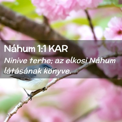 Picture 02 - Náhum 1:1 KAR - Ninive terhe; az elkosi Náhum látásának - Bible Verse Picture