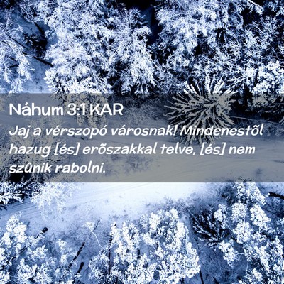 Picture 02 - Náhum 3:1 KAR - Jaj a vérszopó városnak! Mindenestõl hazug - Bible Verse Picture