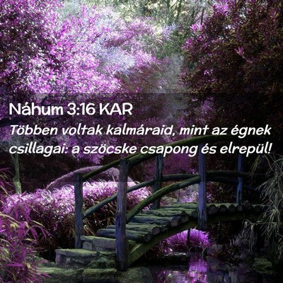 Picture 02 - Náhum 3:16 KAR - Többen voltak kalmáraid, mint az égnek - Bible Verse Picture