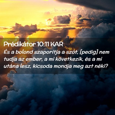 Picture 02 - Prédikátor 10:11 KAR - És a bolond szaporítja a szót, [pedig] nem - Bible Verse Picture