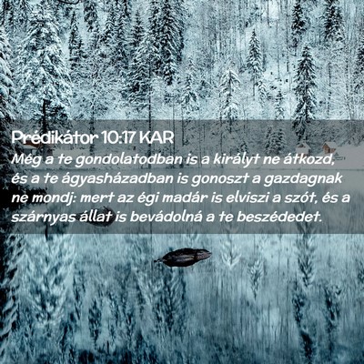 Picture 02 - Prédikátor 10:17 KAR - Még a te gondolatodban is a királyt ne átkozd, - Bible Verse Picture